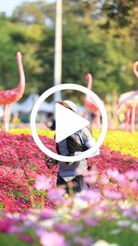 BIB:  <button type="button" onclick="openModal(27583807)" class="btn btn-primary btn-sm float-right" data-toggle="modal" data-target=".modal-high-quality">
                <i class="fa fa-download"></i> Download
                </button>